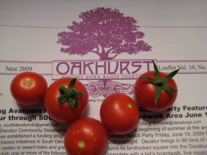 Small Fry Tomatoes